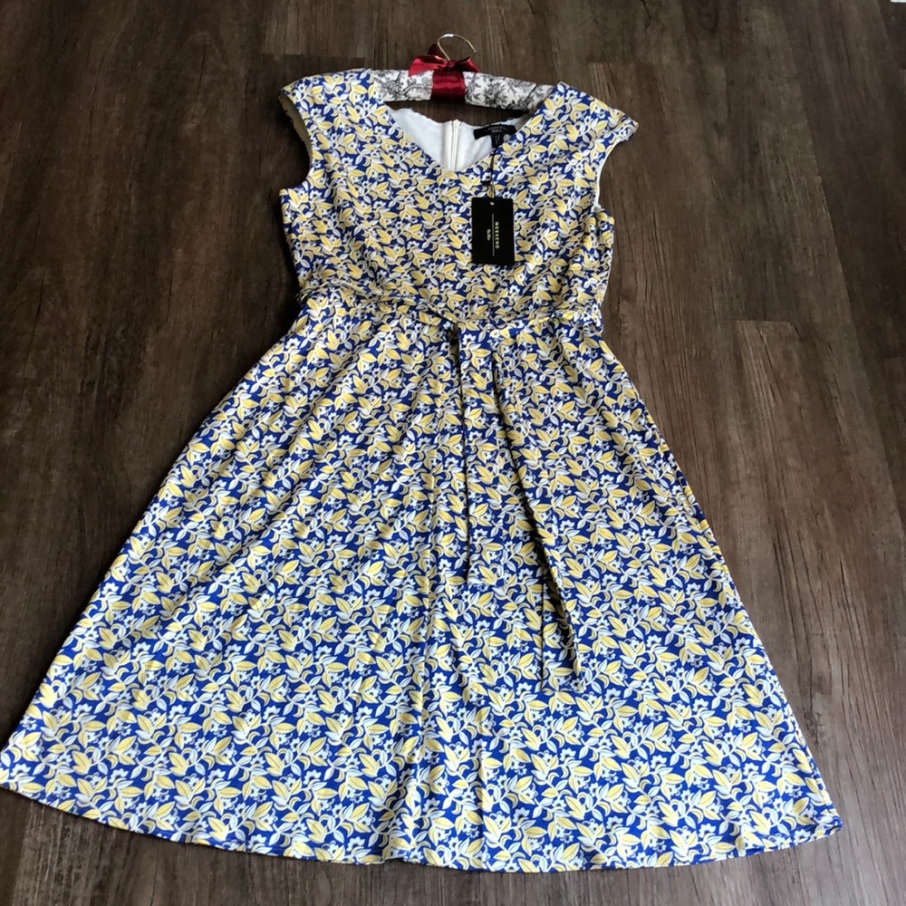 MaxMara weekend cotton dress.